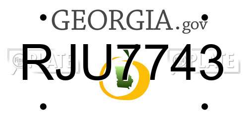RJU7743 Georgia License Plate