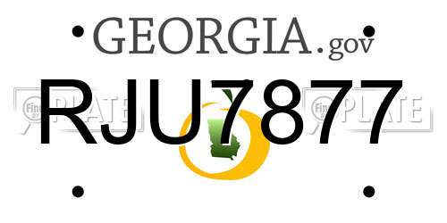 RJU7877 Georgia License Plate