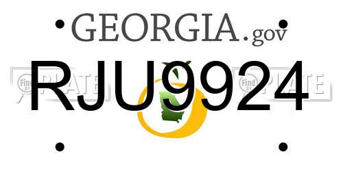 RJU9924 Georgia License Plate