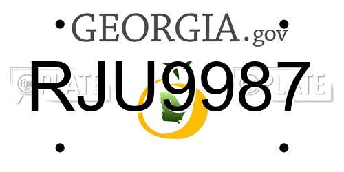 RJU9987 Georgia License Plate