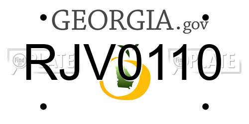 RJV0110 Georgia License Plate