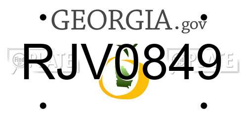 RJV0849 Georgia License Plate