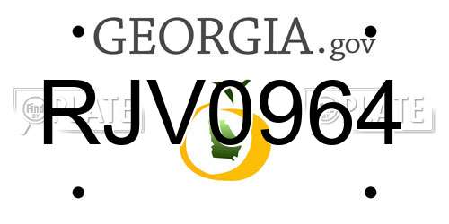 RJV0964 Georgia License Plate