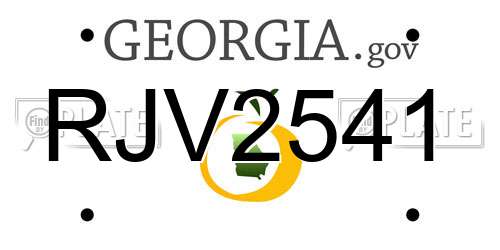 RJV2541 Georgia License Plate