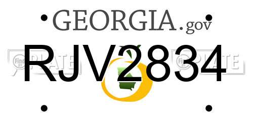 RJV2834 Georgia License Plate