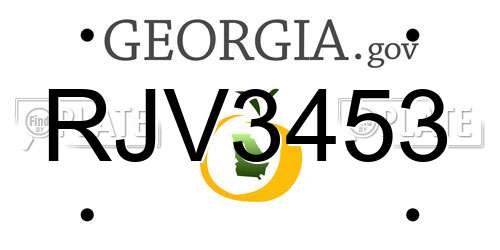 RJV3453 Georgia License Plate