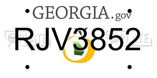 RJV3852 Georgia License Plate