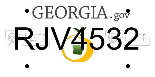 RJV4532 Georgia License Plate