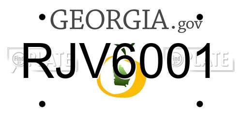 RJV6001 Georgia License Plate
