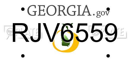 RJV6559 Georgia License Plate