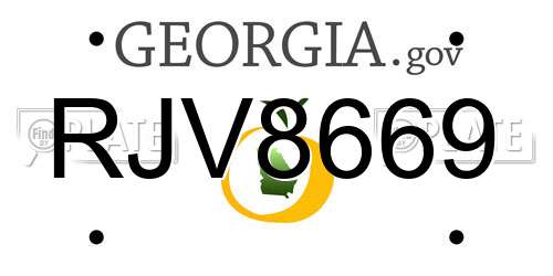 RJV8669 Georgia License Plate