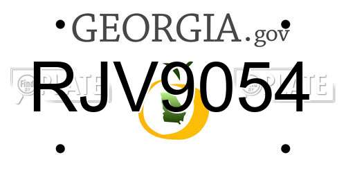 RJV9054 Georgia License Plate