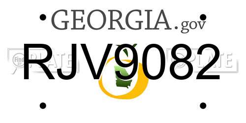 RJV9082 Georgia License Plate