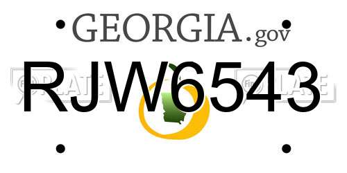 RJW6543 Georgia License Plate