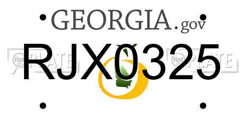 RJX0325 Georgia License Plate