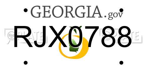 RJX0788 Georgia License Plate
