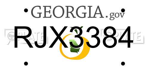 RJX3384 Georgia License Plate