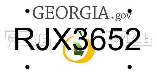 RJX3652 Georgia License Plate