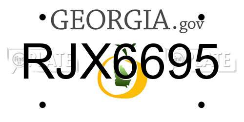RJX6695 Georgia License Plate