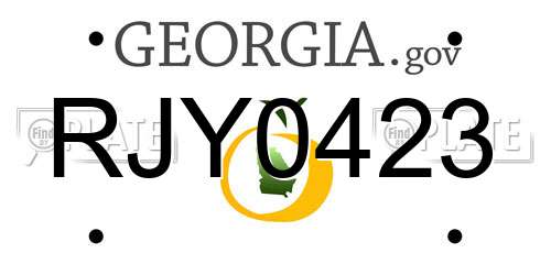 RJY0423 Georgia License Plate