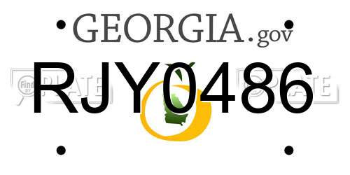 RJY0486 Georgia License Plate