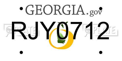 RJY0712 Georgia License Plate