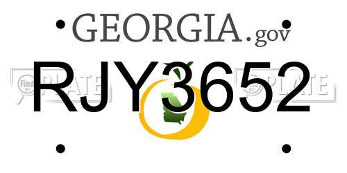 RJY3652 Georgia License Plate