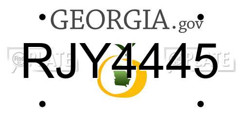 RJY4445 Georgia License Plate