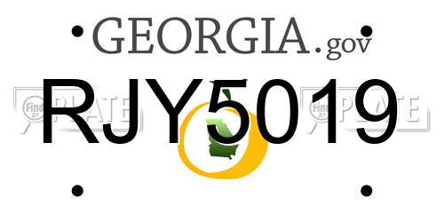 RJY5019 Georgia License Plate