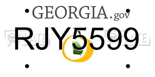 RJY5599 Georgia License Plate
