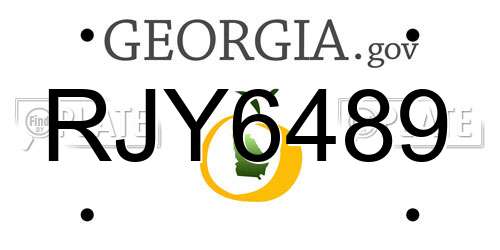 RJY6489 Georgia License Plate