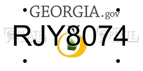 RJY8074 Georgia License Plate