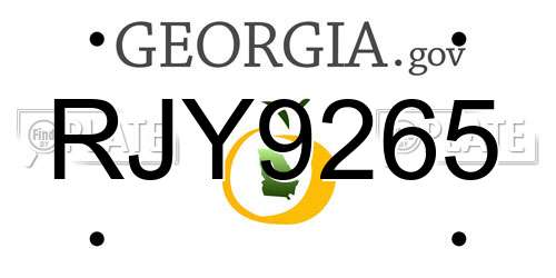 RJY9265 Georgia License Plate