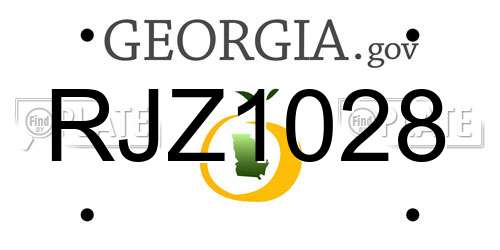 RJZ1028 Georgia License Plate