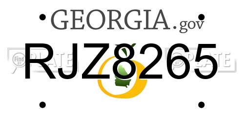 RJZ8265 Georgia License Plate