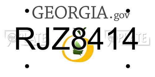 RJZ8414 Georgia License Plate