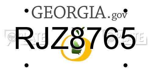 RJZ8765 Georgia License Plate