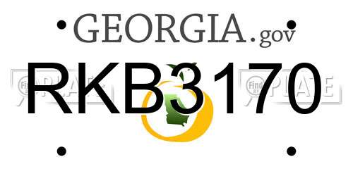 RKB3170 Georgia License Plate