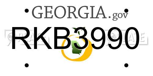 RKB3990 Georgia License Plate