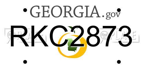 RKC2873 Georgia License Plate