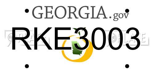 RKE3003 Georgia License Plate