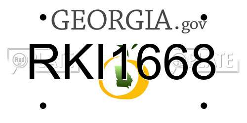 RKI1668 Georgia License Plate