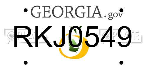 RKJ0549 Georgia License Plate