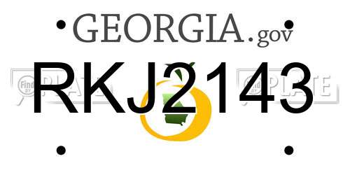 RKJ2143 Georgia License Plate