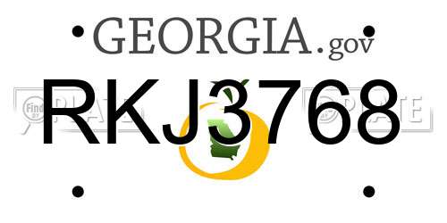 RKJ3768 Georgia License Plate