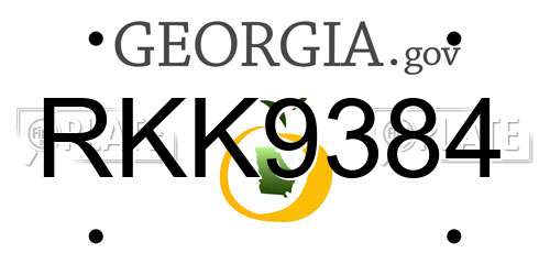 RKK9384 Georgia License Plate