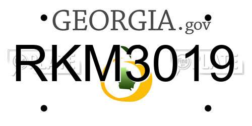RKM3019 Georgia License Plate