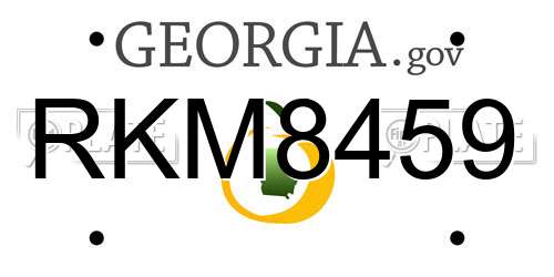RKM8459 Georgia License Plate