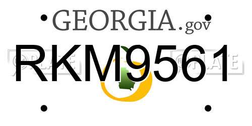 RKM9561 Georgia License Plate