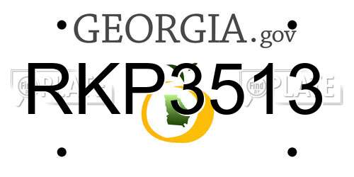 RKP3513 Georgia License Plate
